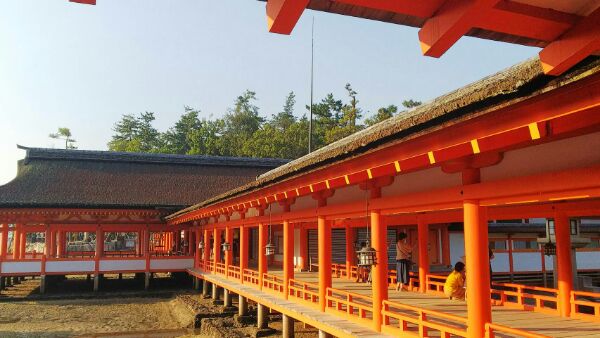 世界遺産 厳島神社 広島 宮島 ハネムーンのことならベルツアー